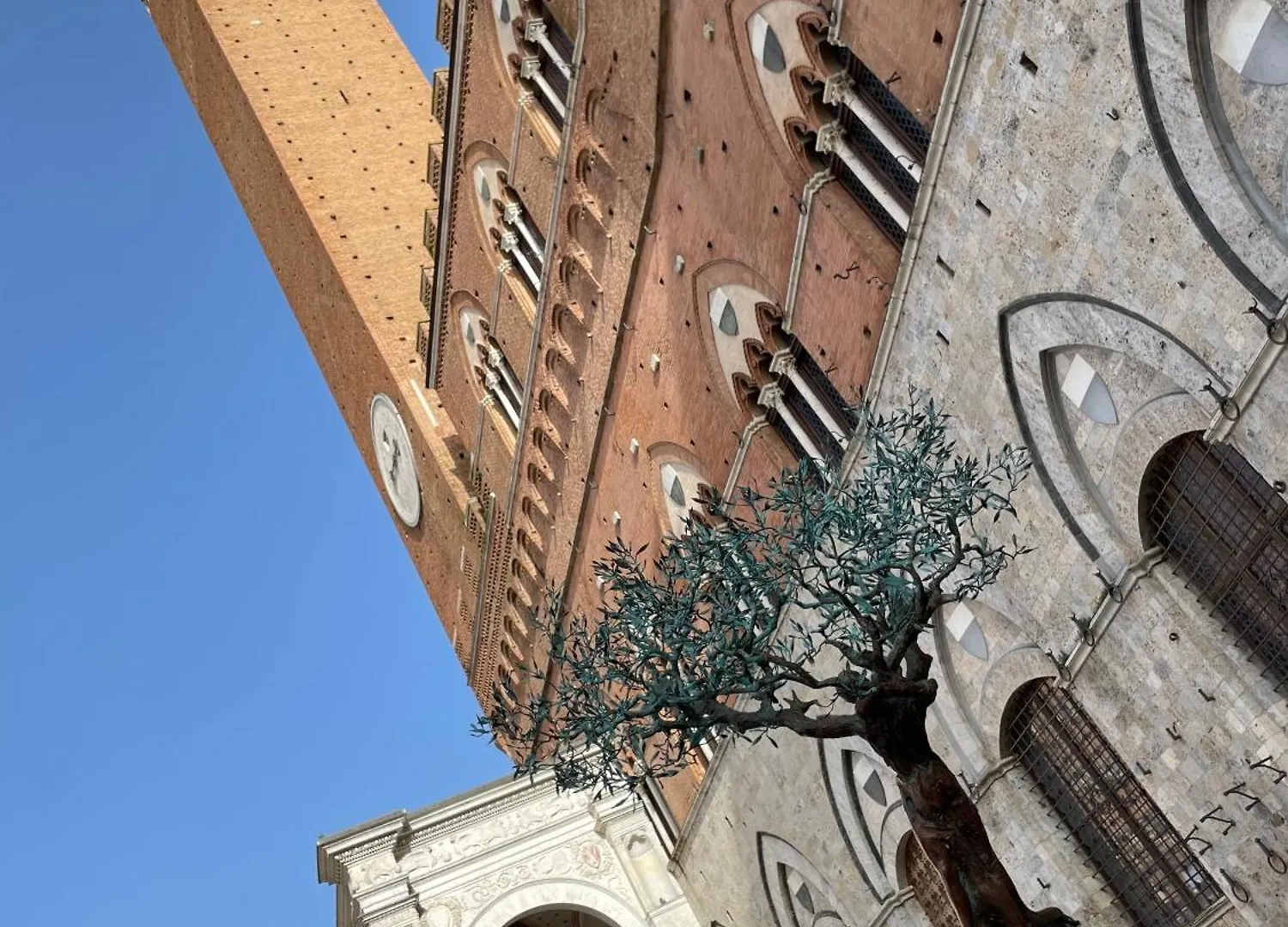 Acasasiena 0*, Siena